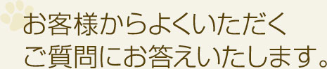 お客様からよくいただくご質問にお答えいたします。