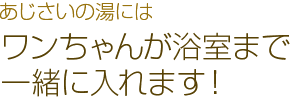 あじさいの湯には ワンちゃんが浴室まで一緒に入れます！