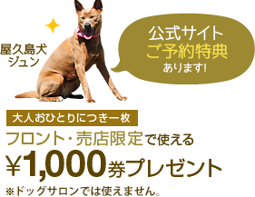 公式サイトご予約特典！500円券プレゼント