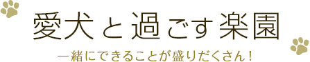 愛犬と過ごす楽園