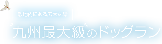 敷地内にある広大な緑 九州最大級のドッグラン