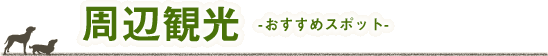 周辺観光　おすすめスポット