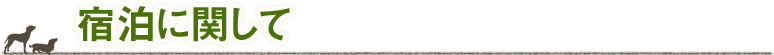 宿泊に関して