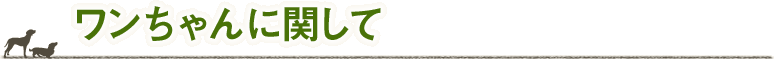 ワンちゃんに関して