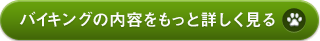 バイキングの内容をもっと見る