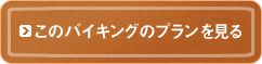 このバイキングのプランを見る