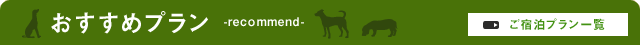 おすすめプラン
