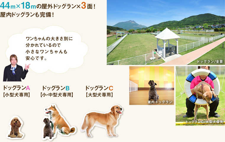 44m×18mの屋外ドッグラン×3面！屋内ドッグランも完備！