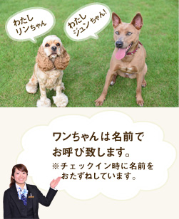 ワンちゃんは名前でお呼びい致します。