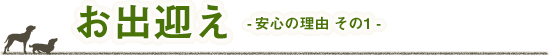 お出迎え　安心の理由　その1