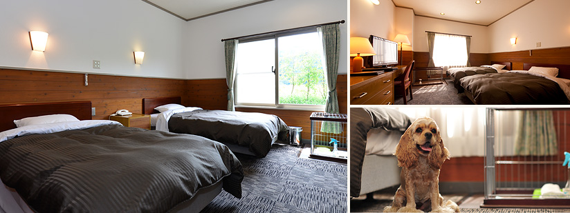 洋室ツインルーム