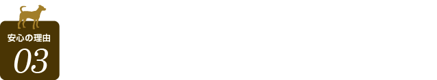 44m✕18mの野外ドッグラン3面 九州最大級ドッグラン！