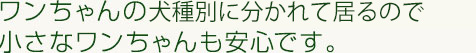 ワンちゃんの大きさ別に分かれているので小さなワンちゃんも安心です。