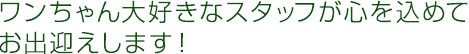 ワンちゃん大好きなスタッフが心を込めてお出迎えします！