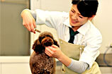 サロン DOG SALON