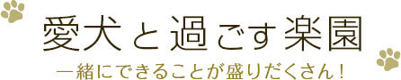 愛犬と過ごす楽園一緒にできることが盛りだくさん！