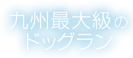 九州最大級のドッグラン