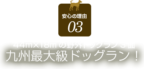 安心の理由03　44m✕18mの野外ドッグラン3面九州最大級ドッグラン！